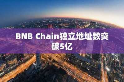 BNB Chain独立地址数突破5亿 软件开发的新里程碑